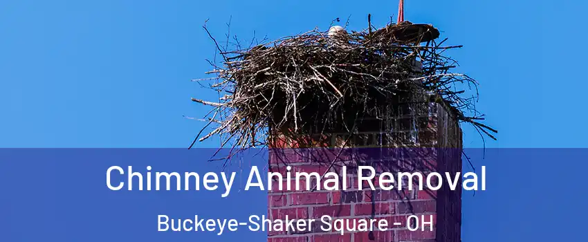 Chimney Animal Removal Buckeye-Shaker Square - OH