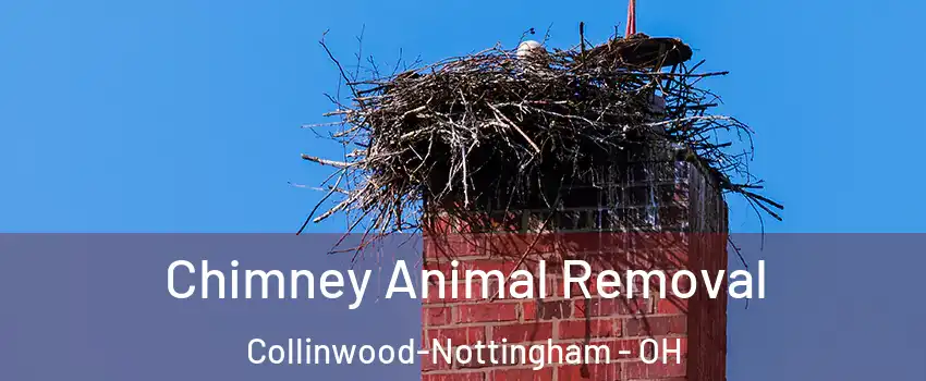 Chimney Animal Removal Collinwood-Nottingham - OH