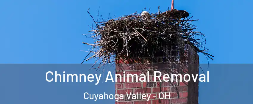 Chimney Animal Removal Cuyahoga Valley - OH