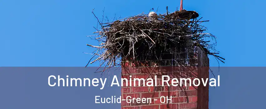 Chimney Animal Removal Euclid-Green - OH