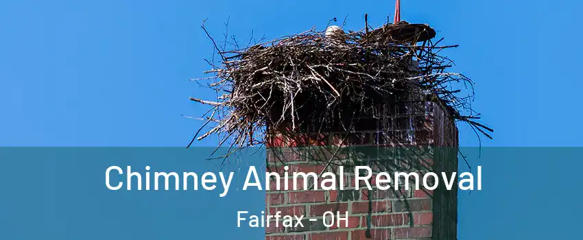 Chimney Animal Removal Fairfax - OH