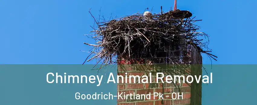 Chimney Animal Removal Goodrich-Kirtland Pk - OH