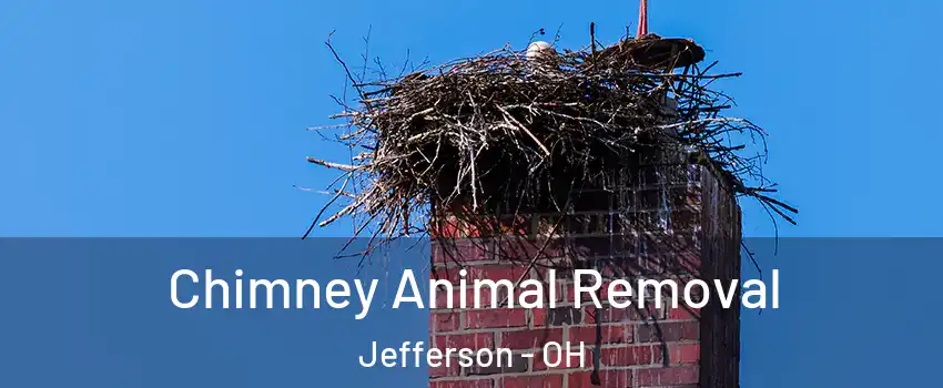 Chimney Animal Removal Jefferson - OH