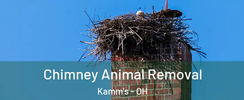 Chimney Animal Removal Kamm's - OH