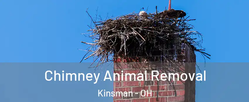 Chimney Animal Removal Kinsman - OH