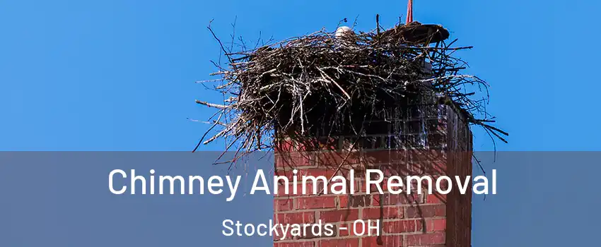 Chimney Animal Removal Stockyards - OH