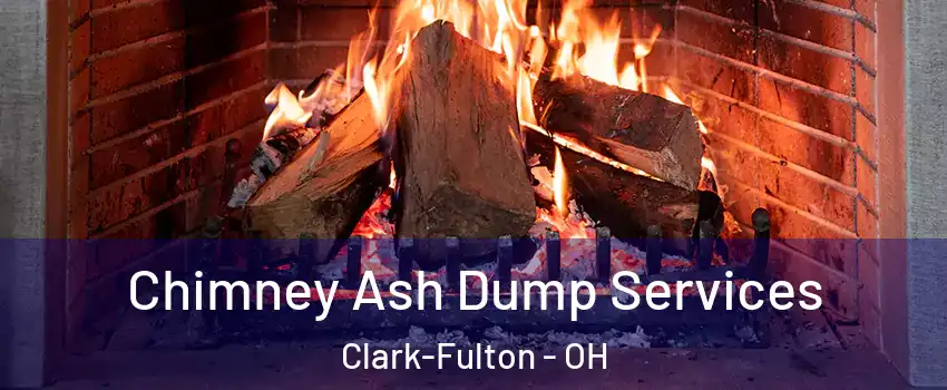 Chimney Ash Dump Services Clark-Fulton - OH