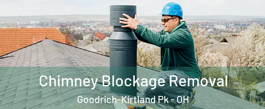 Chimney Blockage Removal Goodrich-Kirtland Pk - OH