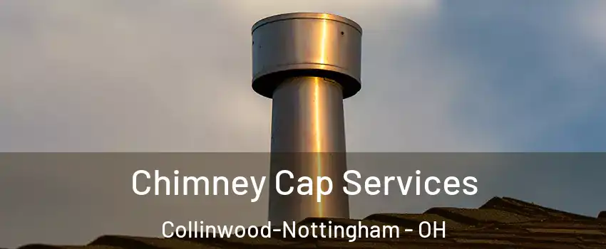 Chimney Cap Services Collinwood-Nottingham - OH