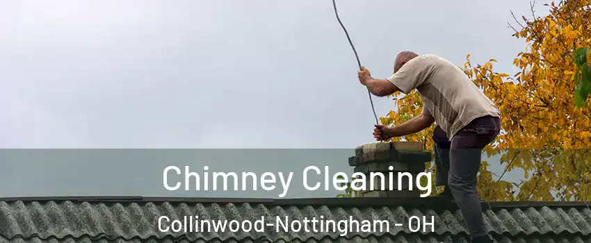 Chimney Cleaning Collinwood-Nottingham - OH