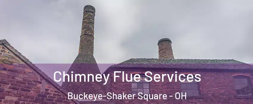 Chimney Flue Services Buckeye-Shaker Square - OH