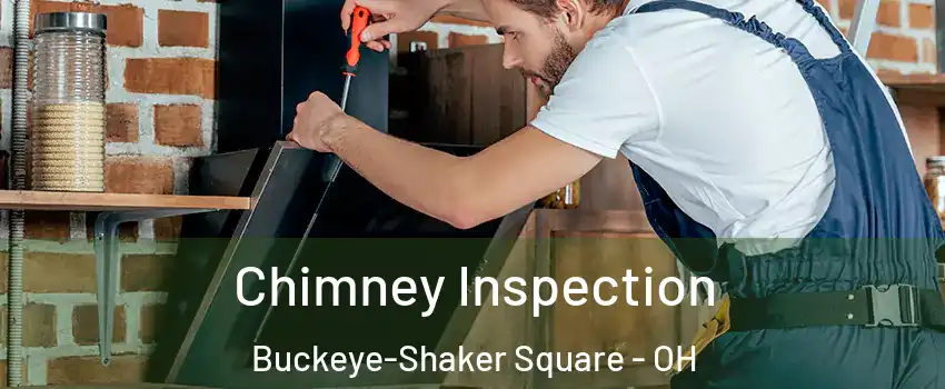 Chimney Inspection Buckeye-Shaker Square - OH