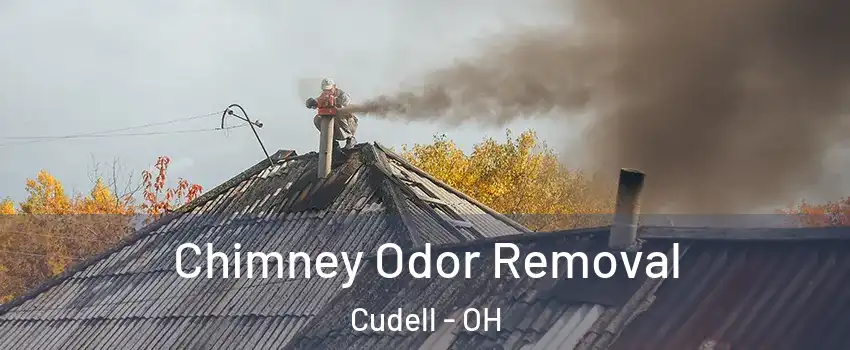 Chimney Odor Removal Cudell - OH