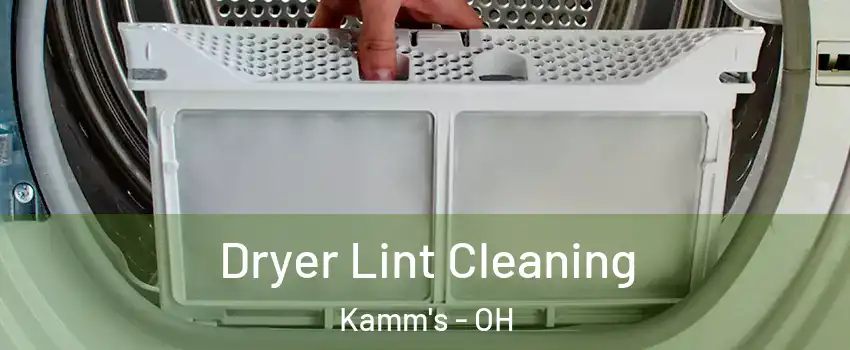 Dryer Lint Cleaning Kamm's - OH