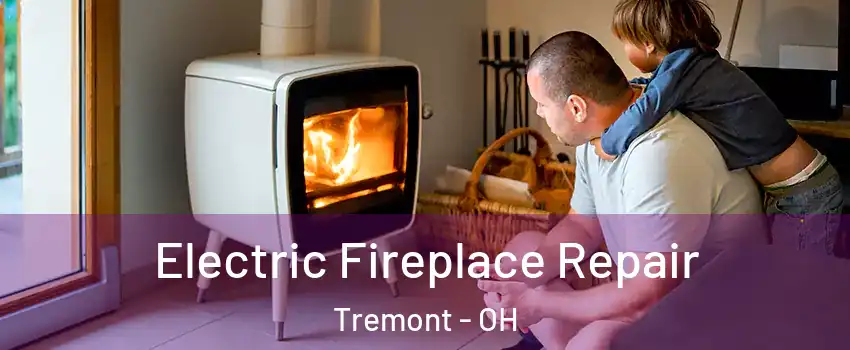 Electric Fireplace Repair Tremont - OH