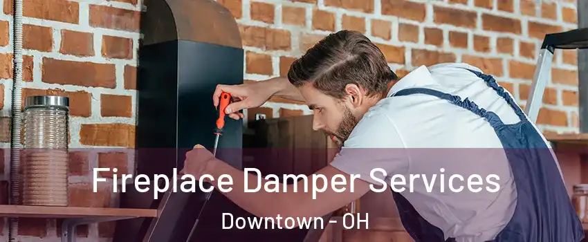 Fireplace Damper Services Downtown - OH