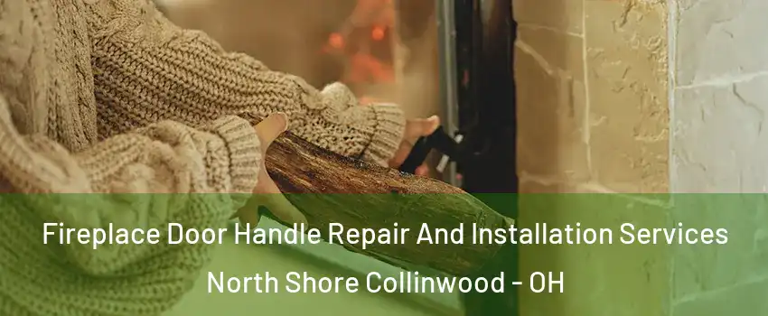 Fireplace Door Handle Repair And Installation Services North Shore Collinwood - OH