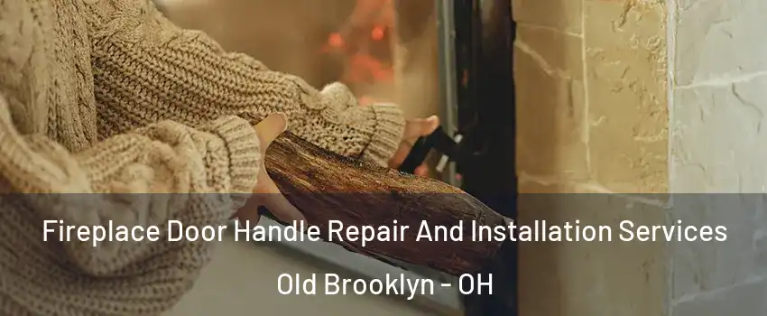 Fireplace Door Handle Repair And Installation Services Old Brooklyn - OH