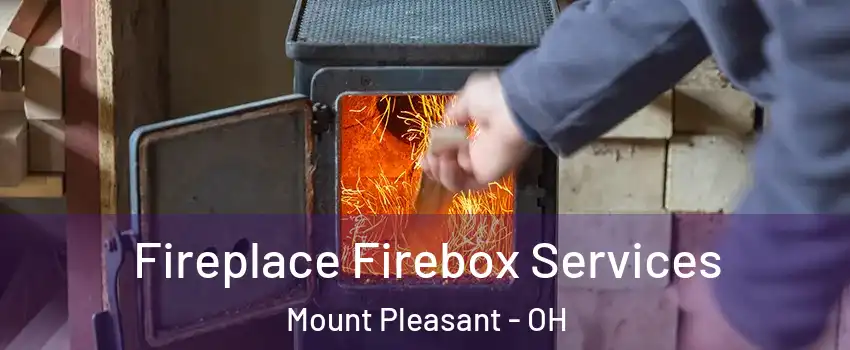 Fireplace Firebox Services Mount Pleasant - OH