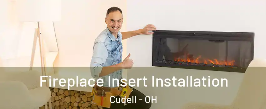 Fireplace Insert Installation Cudell - OH