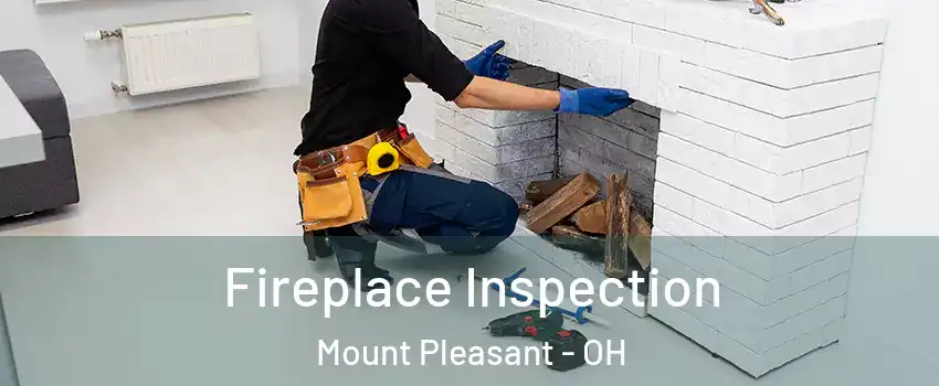 Fireplace Inspection Mount Pleasant - OH