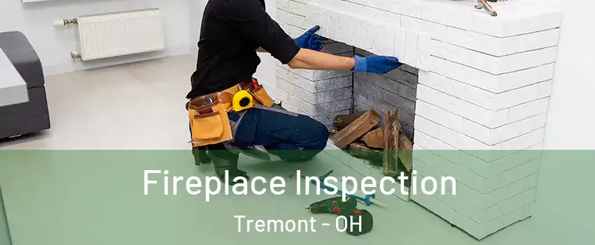 Fireplace Inspection Tremont - OH