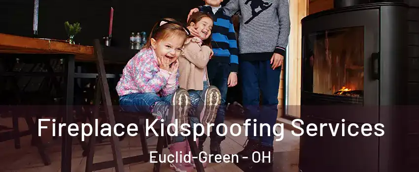 Fireplace Kidsproofing Services Euclid-Green - OH