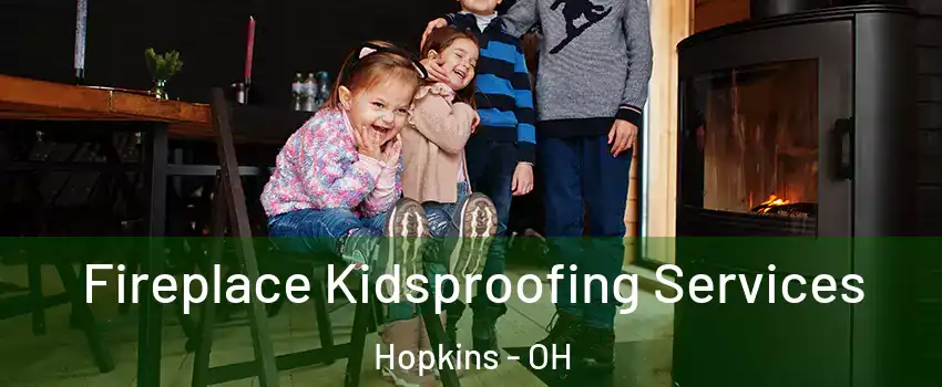 Fireplace Kidsproofing Services Hopkins - OH