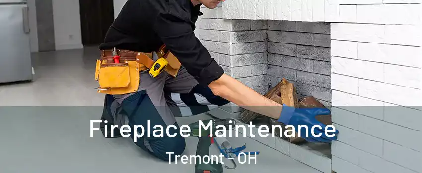 Fireplace Maintenance Tremont - OH