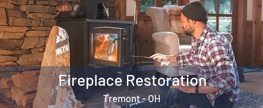 Fireplace Restoration Tremont - OH