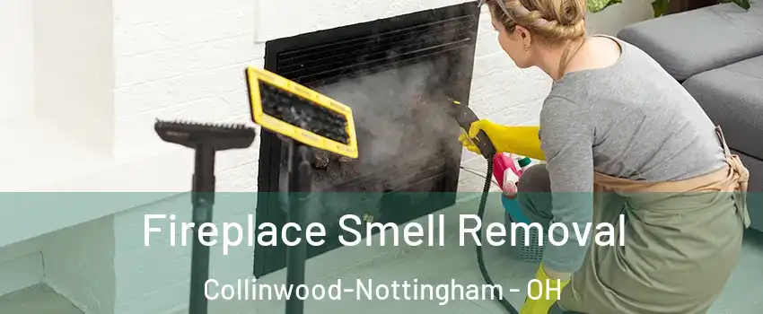 Fireplace Smell Removal Collinwood-Nottingham - OH