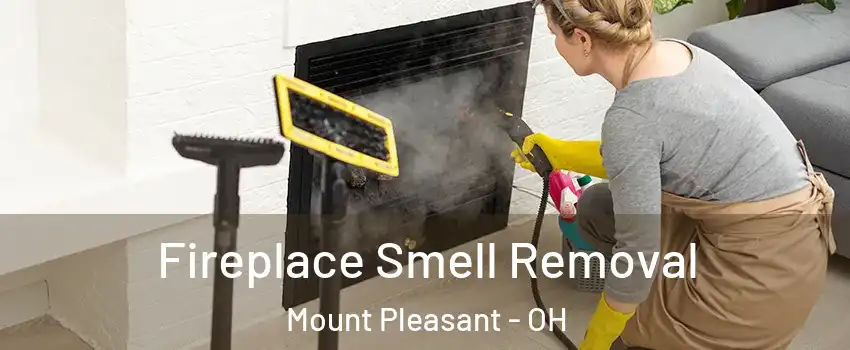 Fireplace Smell Removal Mount Pleasant - OH