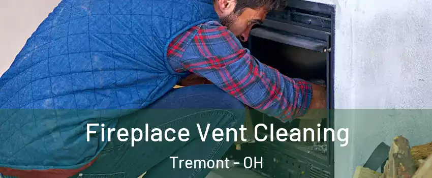 Fireplace Vent Cleaning Tremont - OH