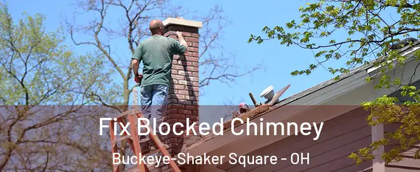 Fix Blocked Chimney Buckeye-Shaker Square - OH