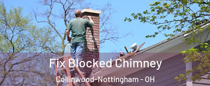 Fix Blocked Chimney Collinwood-Nottingham - OH