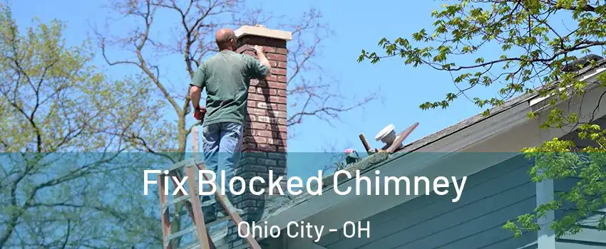 Fix Blocked Chimney Ohio City - OH