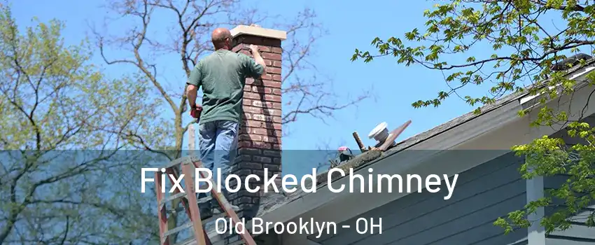 Fix Blocked Chimney Old Brooklyn - OH