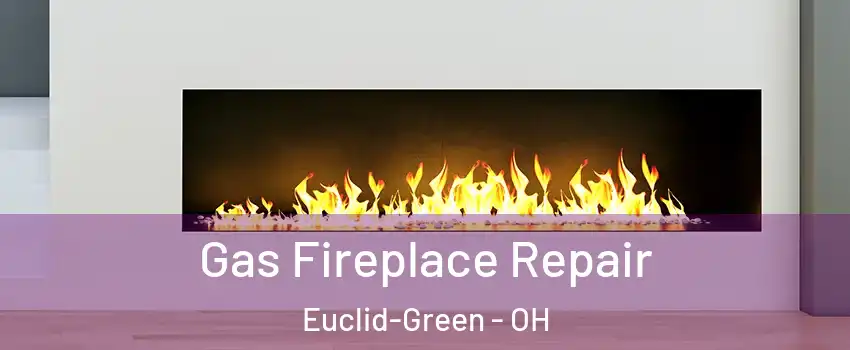 Gas Fireplace Repair Euclid-Green - OH