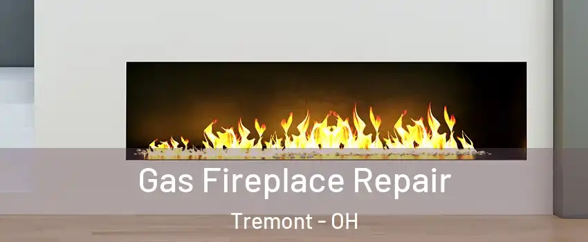 Gas Fireplace Repair Tremont - OH