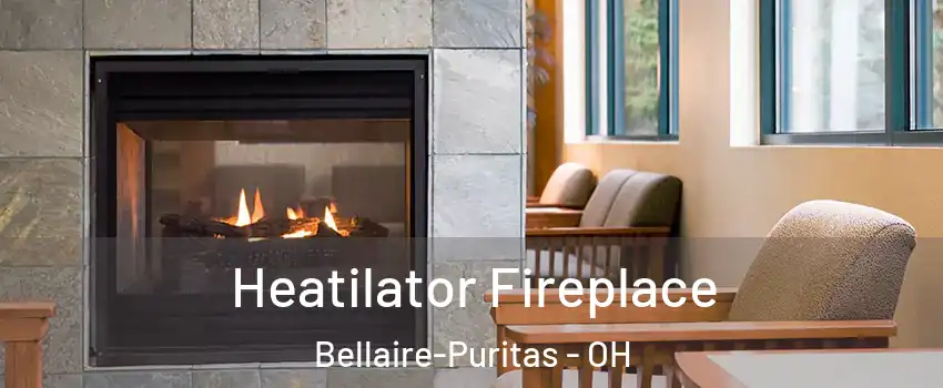 Heatilator Fireplace Bellaire-Puritas - OH