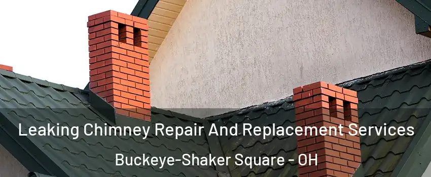 Leaking Chimney Repair And Replacement Services Buckeye-Shaker Square - OH