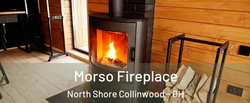 Morso Fireplace North Shore Collinwood - OH