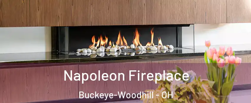 Napoleon Fireplace Buckeye-Woodhill - OH