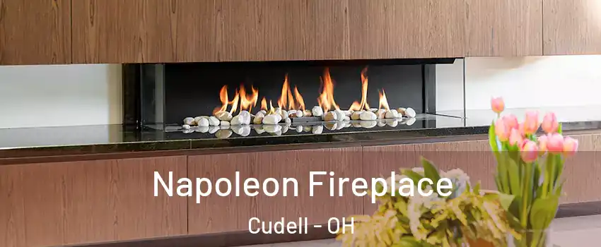 Napoleon Fireplace Cudell - OH