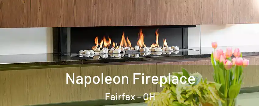 Napoleon Fireplace Fairfax - OH