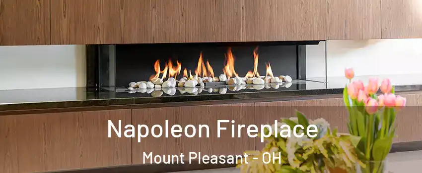 Napoleon Fireplace Mount Pleasant - OH