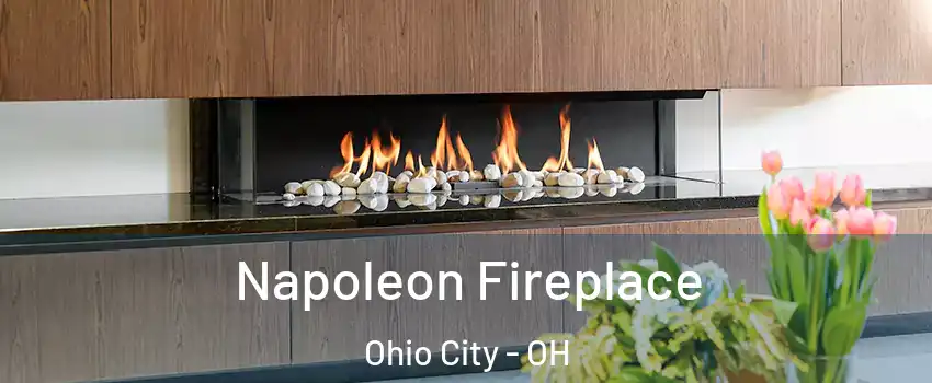 Napoleon Fireplace Ohio City - OH