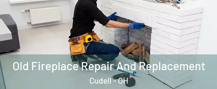 Old Fireplace Repair And Replacement Cudell - OH