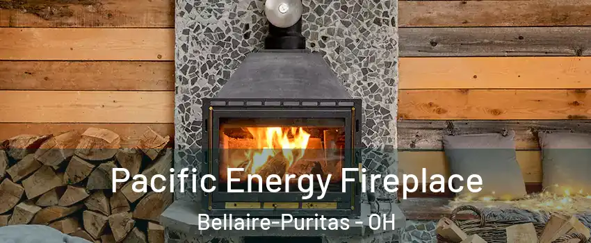 Pacific Energy Fireplace Bellaire-Puritas - OH