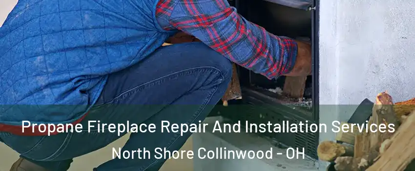 Propane Fireplace Repair And Installation Services North Shore Collinwood - OH